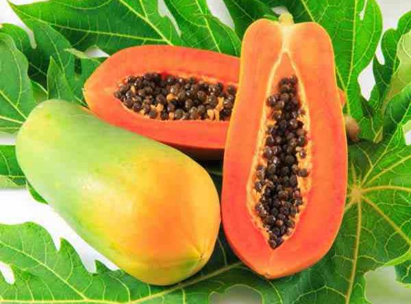 Nằm mơ thấy quả đu đủ đánh con gì dễ trúng, có điềm báo gì
