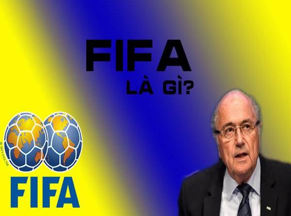 FIFA là gì? Nó giữ nhiệm vụ và vai trò như thế nào