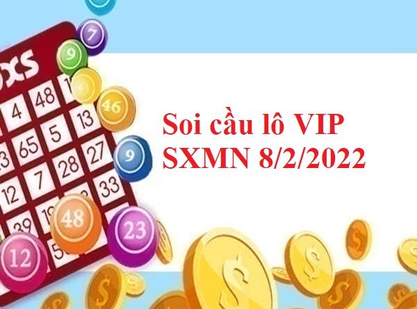 Thống kê lô VIP SXMN 8/2/2022