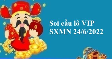 Soi cầu lô VIP SXMN 24/6/2022