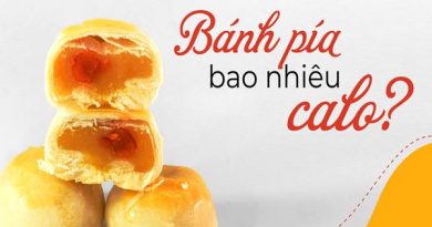 banh-pia-bao-nhieu-calo-an-co-bi-beo-khong