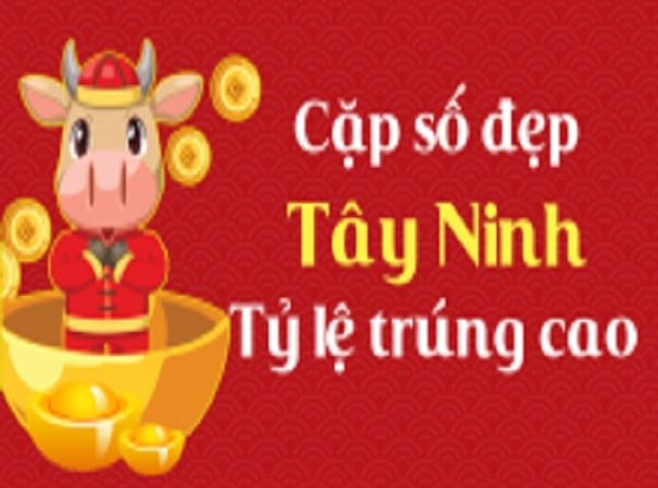 Phân tích XSTN 10-11-2022