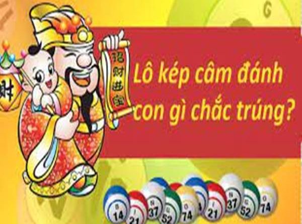 lo-kep-cam-la-gi-phuong-phap-bat-lo-kep-cam-tu-cao-thu