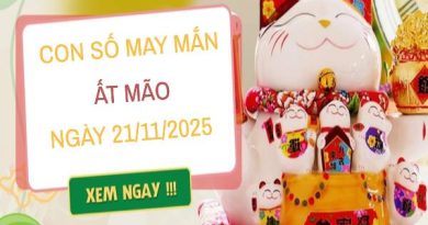 Luận giải con số may mắn tuổi Ất Mão ngày 21/11/2025