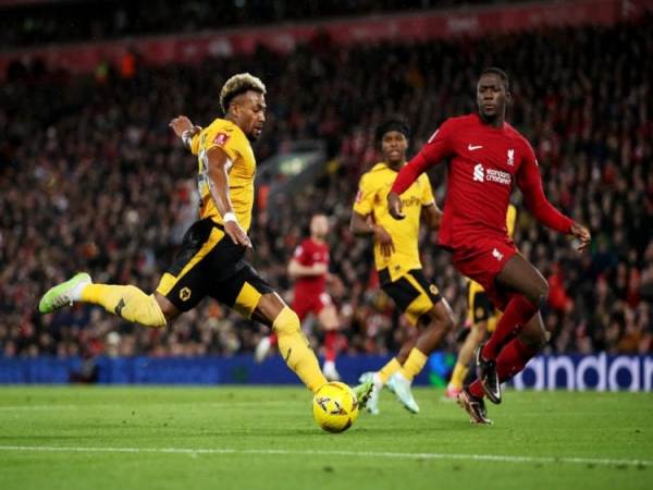 Nhận định Wolves vs Liverpool lúc 3h15 ngày 4/3